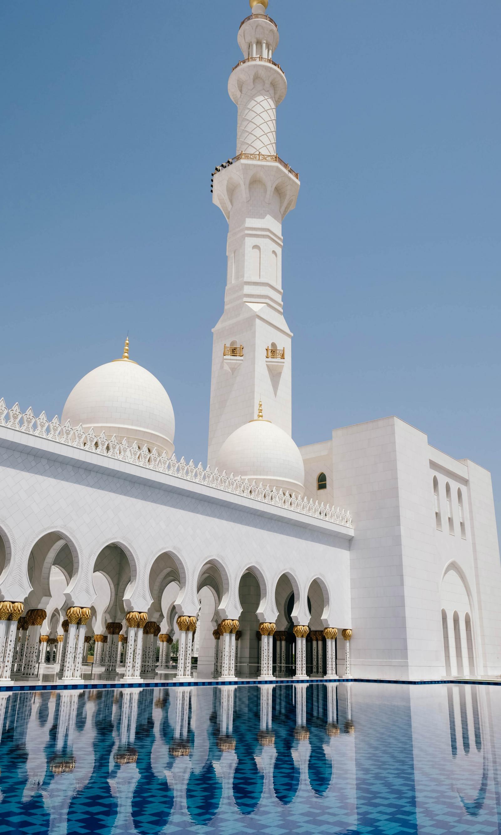 Hd qattiq mushuk hd Hd qattiq mushuk hd