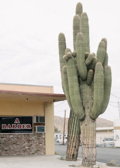 1006_natelee_cocks_75_a_barber_joshua_tree.jpg