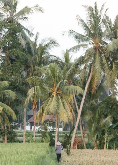 1007_natelee_cocks_75_a_days_work_ubud.jpg