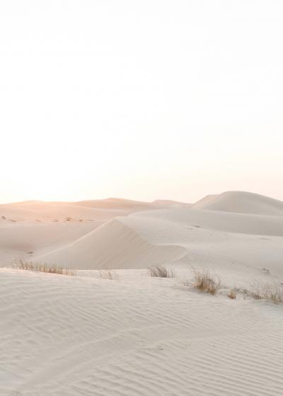 1013_natelee_cocks_75_desert_dream_dubai.jpg