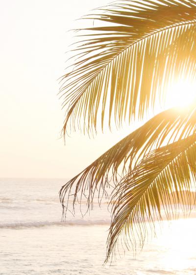 1015_natelee_cocks_75_golden_waves_srilanka.jpg