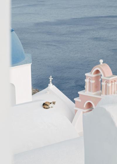 1017_natelee_cocks_75_mother_cat_santorini.jpg