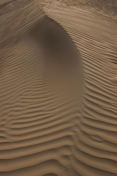 Print art: Study of dunes 5