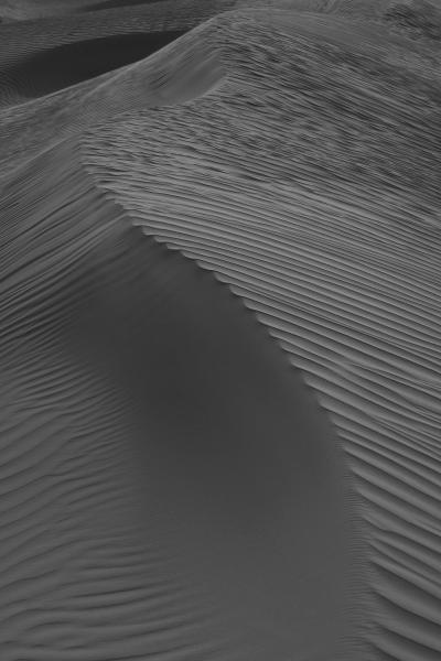 366_l1060850.jpg