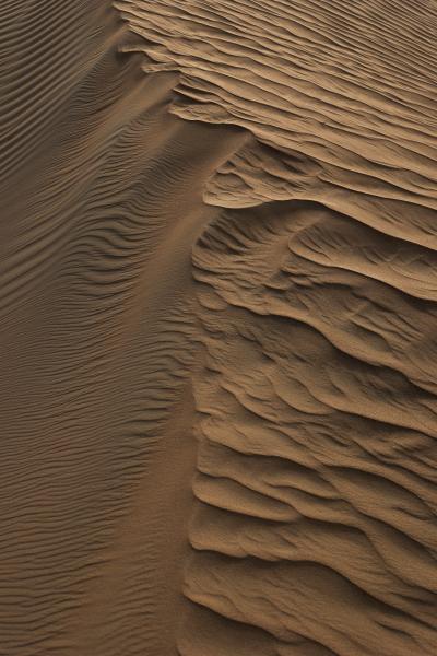 Print art: Study of dunes 6
