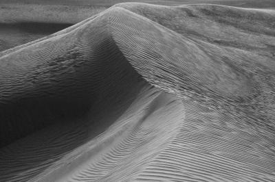 Print art: Study of dunes 7